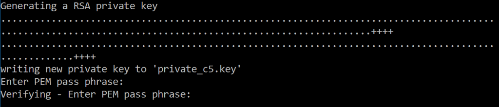 Generating a RSA private key, then asking for the password for the key.