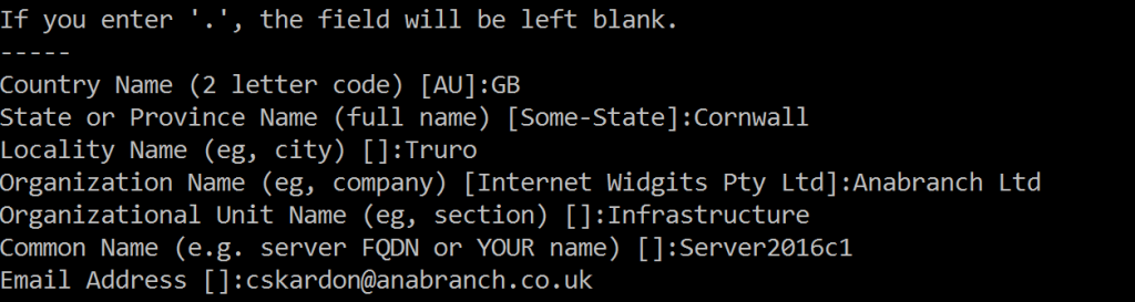 The fields OpenSSL asks you for, the Country, State, Locality, Organization, Organizational Unit and Common Name. Plus an email address.